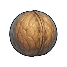 Rock Walnut