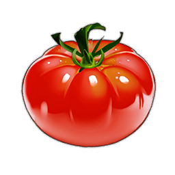 Tomato