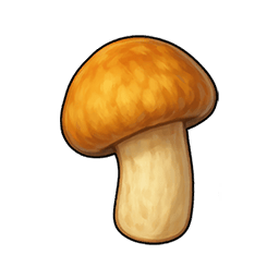 Pine Mushroom