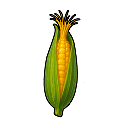 Corn
