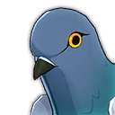Pigeon